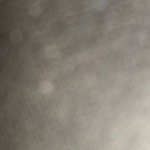 Meet your Posher, Payton